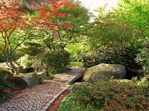 Preview wallpaper path, stones, garden, trees, autumn, leaves