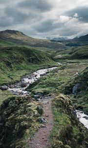Preview wallpaper path, stream, stones