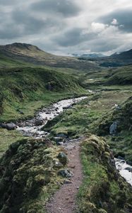 Preview wallpaper path, stream, stones
