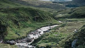 Preview wallpaper path, stream, stones
