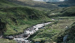 Preview wallpaper path, stream, stones