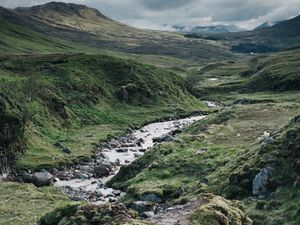 Preview wallpaper path, stream, stones