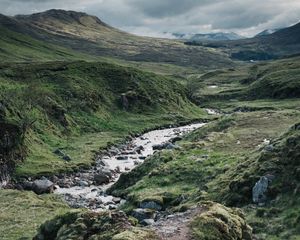 Preview wallpaper path, stream, stones