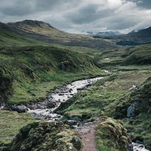 Preview wallpaper path, stream, stones