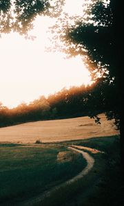 Preview wallpaper path, sunrise, trees, field, grass, turn