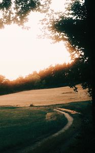 Preview wallpaper path, sunrise, trees, field, grass, turn