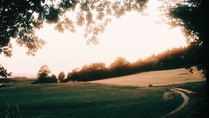 Preview wallpaper path, sunrise, trees, field, grass, turn