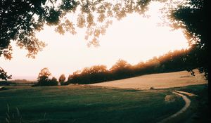 Preview wallpaper path, sunrise, trees, field, grass, turn