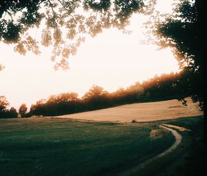 Preview wallpaper path, sunrise, trees, field, grass, turn