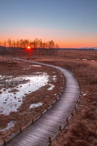 Preview wallpaper path, sunset, wooden, grass, trees