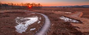 Preview wallpaper path, sunset, wooden, grass, trees