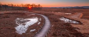 Preview wallpaper path, sunset, wooden, grass, trees