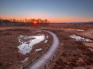 Preview wallpaper path, sunset, wooden, grass, trees