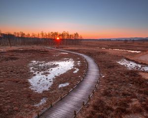 Preview wallpaper path, sunset, wooden, grass, trees