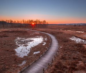Preview wallpaper path, sunset, wooden, grass, trees
