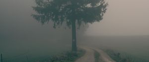 Preview wallpaper path, tree, fog, nature, landscape