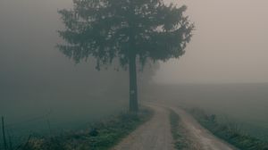 Preview wallpaper path, tree, fog, nature, landscape