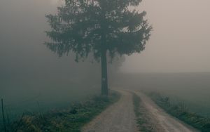 Preview wallpaper path, tree, fog, nature, landscape