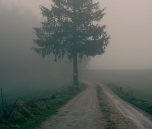 Preview wallpaper path, tree, fog, nature, landscape