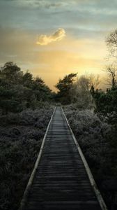 Preview wallpaper path, trees, bushes, sunset, nature