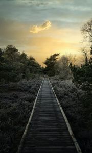 Preview wallpaper path, trees, bushes, sunset, nature