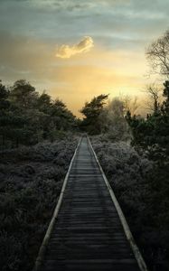 Preview wallpaper path, trees, bushes, sunset, nature