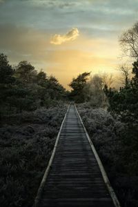 Preview wallpaper path, trees, bushes, sunset, nature