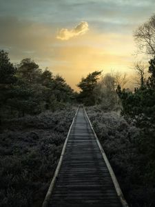 Preview wallpaper path, trees, bushes, sunset, nature