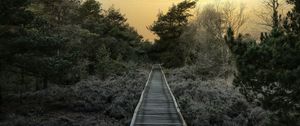 Preview wallpaper path, trees, bushes, sunset, nature