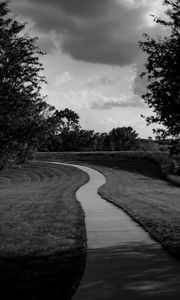 Preview wallpaper path, trees, bw, sky