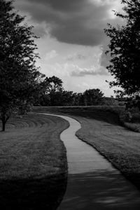 Preview wallpaper path, trees, bw, sky