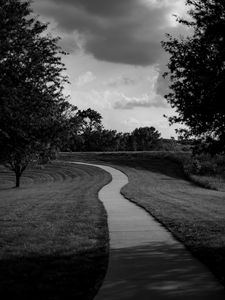 Preview wallpaper path, trees, bw, sky