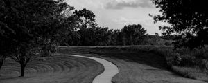 Preview wallpaper path, trees, bw, sky