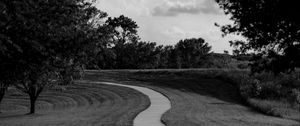 Preview wallpaper path, trees, bw, sky