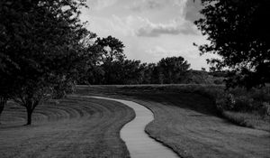 Preview wallpaper path, trees, bw, sky