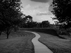 Preview wallpaper path, trees, bw, sky