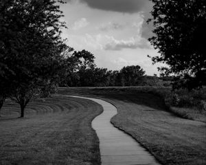 Preview wallpaper path, trees, bw, sky