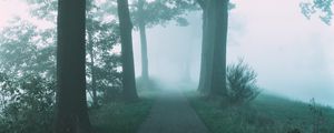 Preview wallpaper path, trees, fog, nature