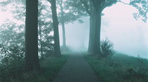 Preview wallpaper path, trees, fog, nature