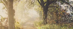 Preview wallpaper path, trees, fog, light, nature