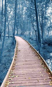 Preview wallpaper path, trees, forest, nature, leaves