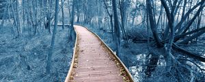 Preview wallpaper path, trees, forest, nature, leaves