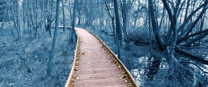 Preview wallpaper path, trees, forest, nature, leaves