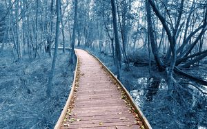 Preview wallpaper path, trees, forest, nature, leaves