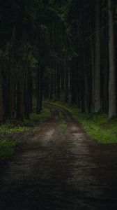 Preview wallpaper path, trees, forest, grass, branches