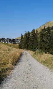 Preview wallpaper path, trees, hills, houses, nature