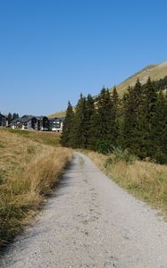 Preview wallpaper path, trees, hills, houses, nature