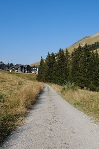 Preview wallpaper path, trees, hills, houses, nature