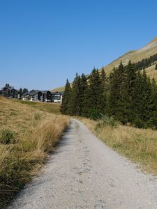 Preview wallpaper path, trees, hills, houses, nature