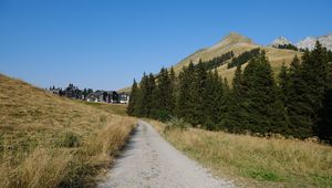 Preview wallpaper path, trees, hills, houses, nature